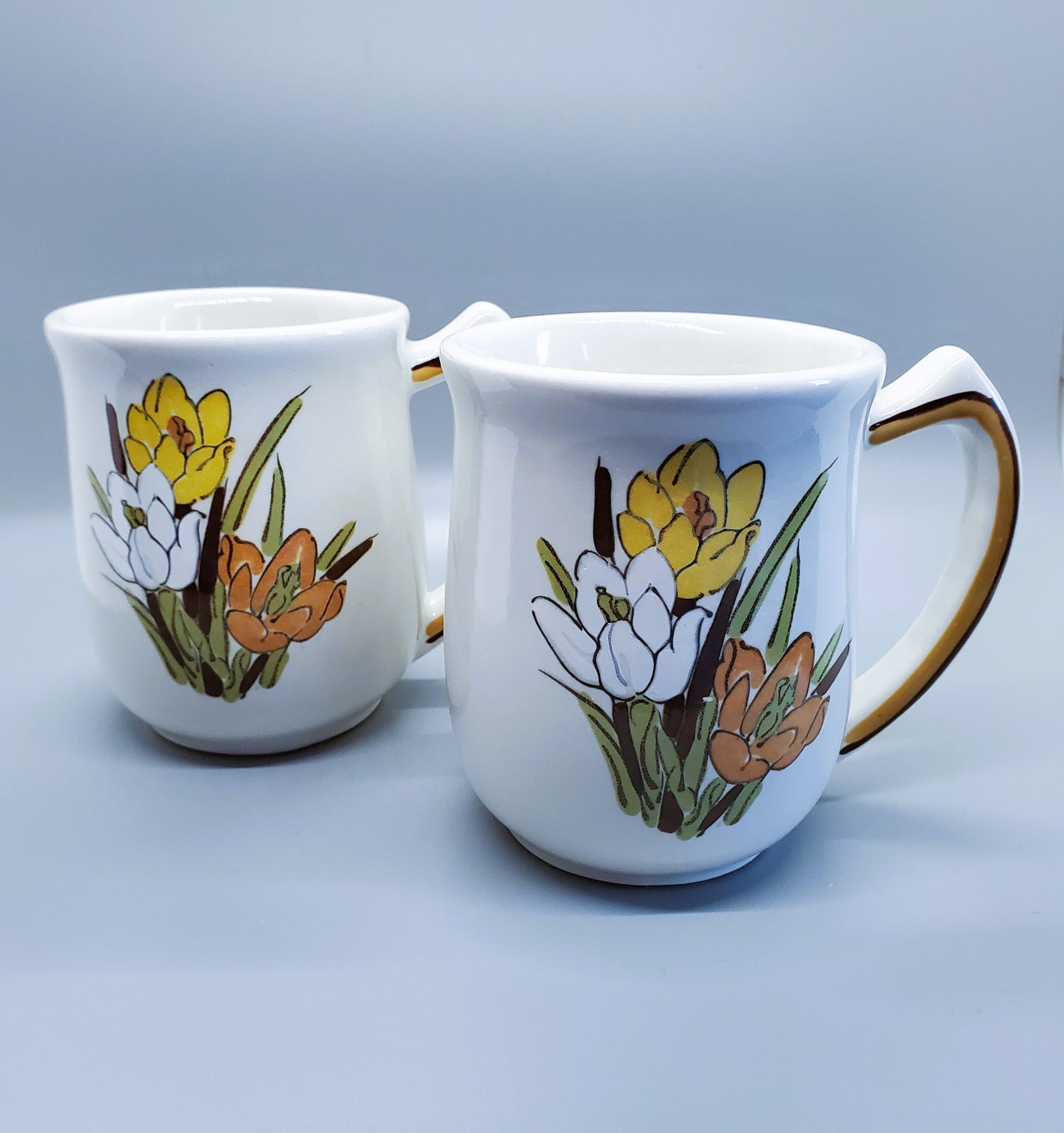 1970's USA Pottery Mugs Floral Design Vintage Set of Two