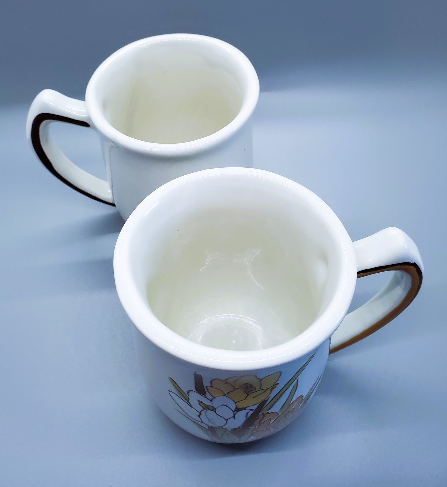 1970's USA Pottery Mugs Floral Design Vintage Set of Two